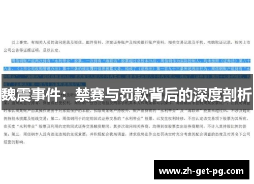 魏震事件：禁赛与罚款背后的深度剖析