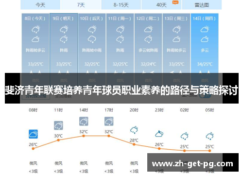 斐济青年联赛培养青年球员职业素养的路径与策略探讨